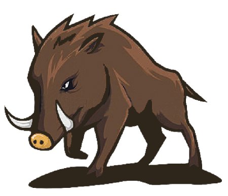 Дикий кабан спереди вектор