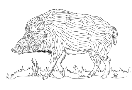 Кабан для детей