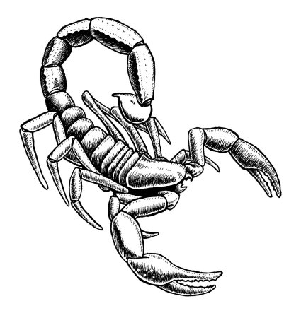 Скорпион детский рисунок (49 фото)