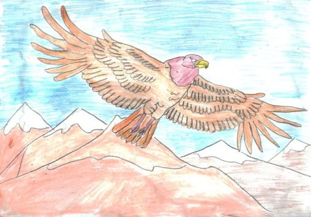 Орел детский рисунок (53 фото)