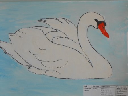 Лебедь рисунок
