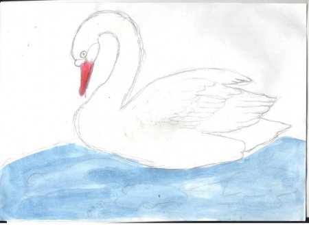 Лебедь рисунок