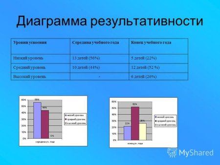Результаты исследования в диаграмме