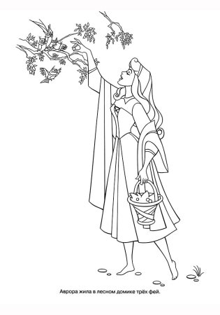 Сказка о мёртвой царевне и семи богатырях рисунки к сказке