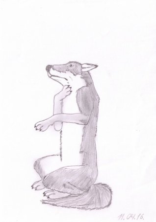 Волк и журавль раскраска