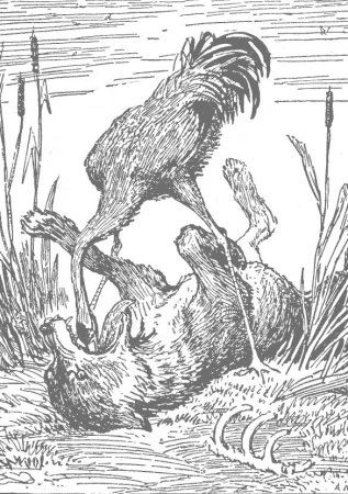 Сказка волк и журавль Крылов