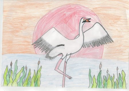 Журавль рисунок