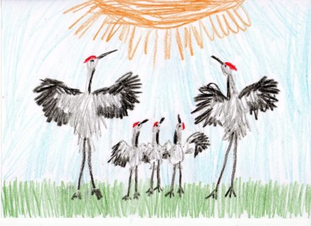 Рисование Журавли в подготовительной группе