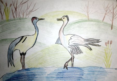 Журавль рисунок детский