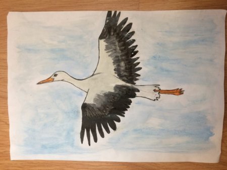 Рисование журавля в старшей группе