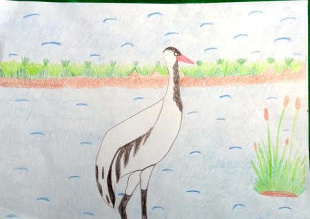 Рисование Журавли в подготовительной группе