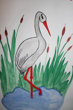 Рисование цапля в старшей группе