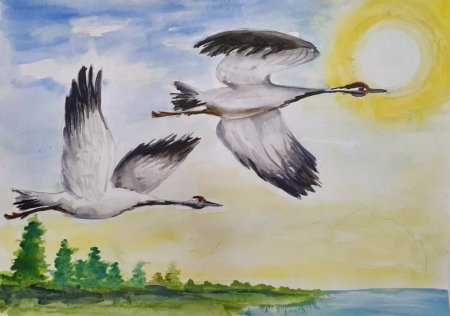 Журавль рисунок