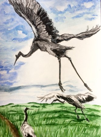 Журавль рисунок