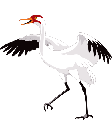 Журавль рисунок карандашом