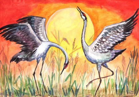 Журавль рисунок карандашом