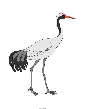 Журавль карандашом цветными