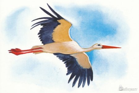 Рисование Журавли в подготовительной группе