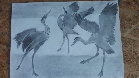 Журавль рисунок