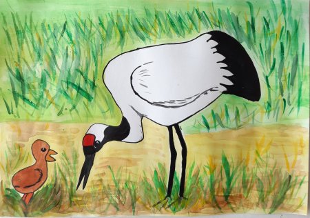 Цапля рисунок карандашом