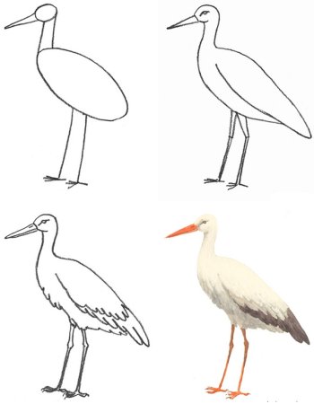 Журавль для детей