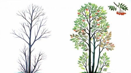 Деревья для дошкольников