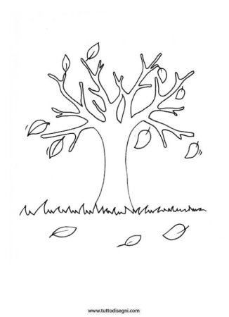 Осеннее дерево для раскрашивания