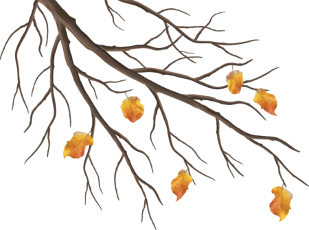 Ветка осеннего дерева