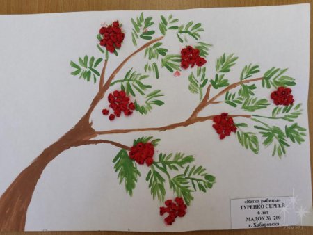 Рисование рябина