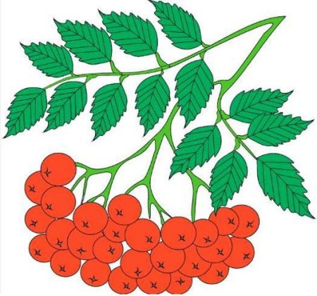 Веточка рябины ватными палочками