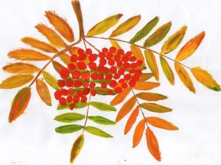 Гроздь рябины Рябинка