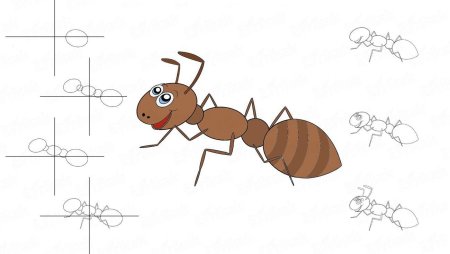 Муравей для детей