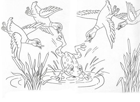 Детский рисунок лягушка путешественница (50 фото)