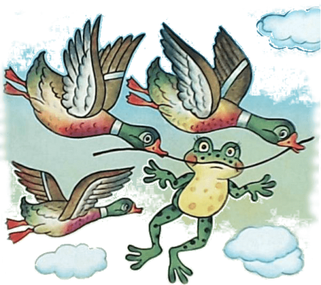 Лягушка путешественница скачка