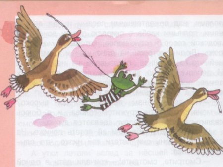 Лягушка путешественница на болоте