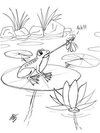 Раскраска лягушка путешественница раскраска для детей