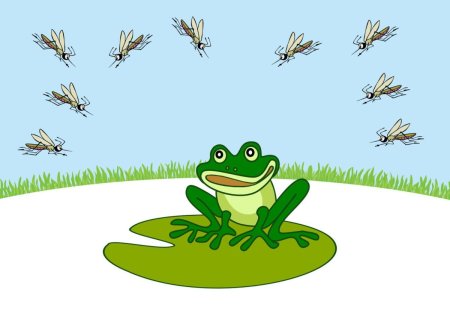 Лягушка путешественница рисунок легкий