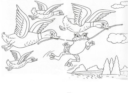 Лягушка путешественница раскраска для детей