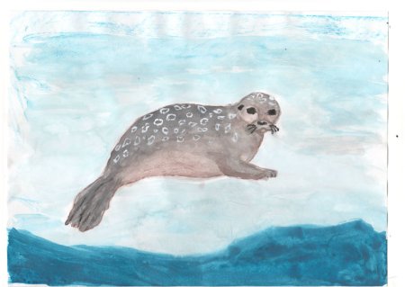 Байкальская Нерпа