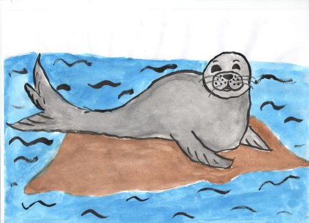 Рисование в старшей группе Байкальская Нерпа