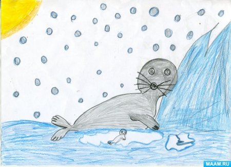 Байкальский нерпенок Белек рисунки