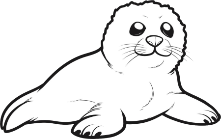 Байкальская Нерпа