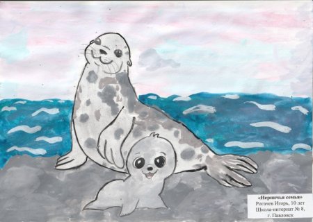 Рисование морской котик