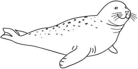 Морской котик мультяшный