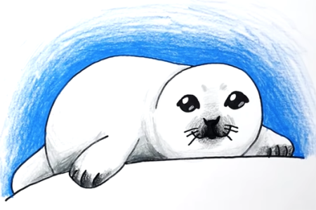Тюлень детский рисунок (52 фото)
