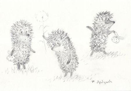 Рисунки Юрия Норштейна