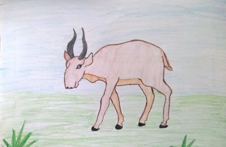 Нарисуй как ты представляешь себе пустыню рисунок сайгака