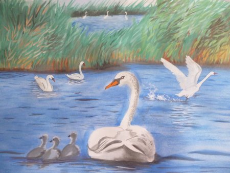 Астраханская природа рисунки детей