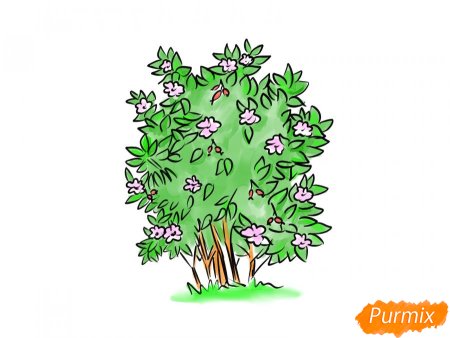 Куст рисунок