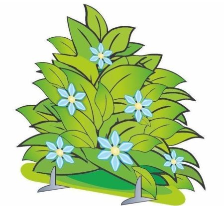 Куст для детей